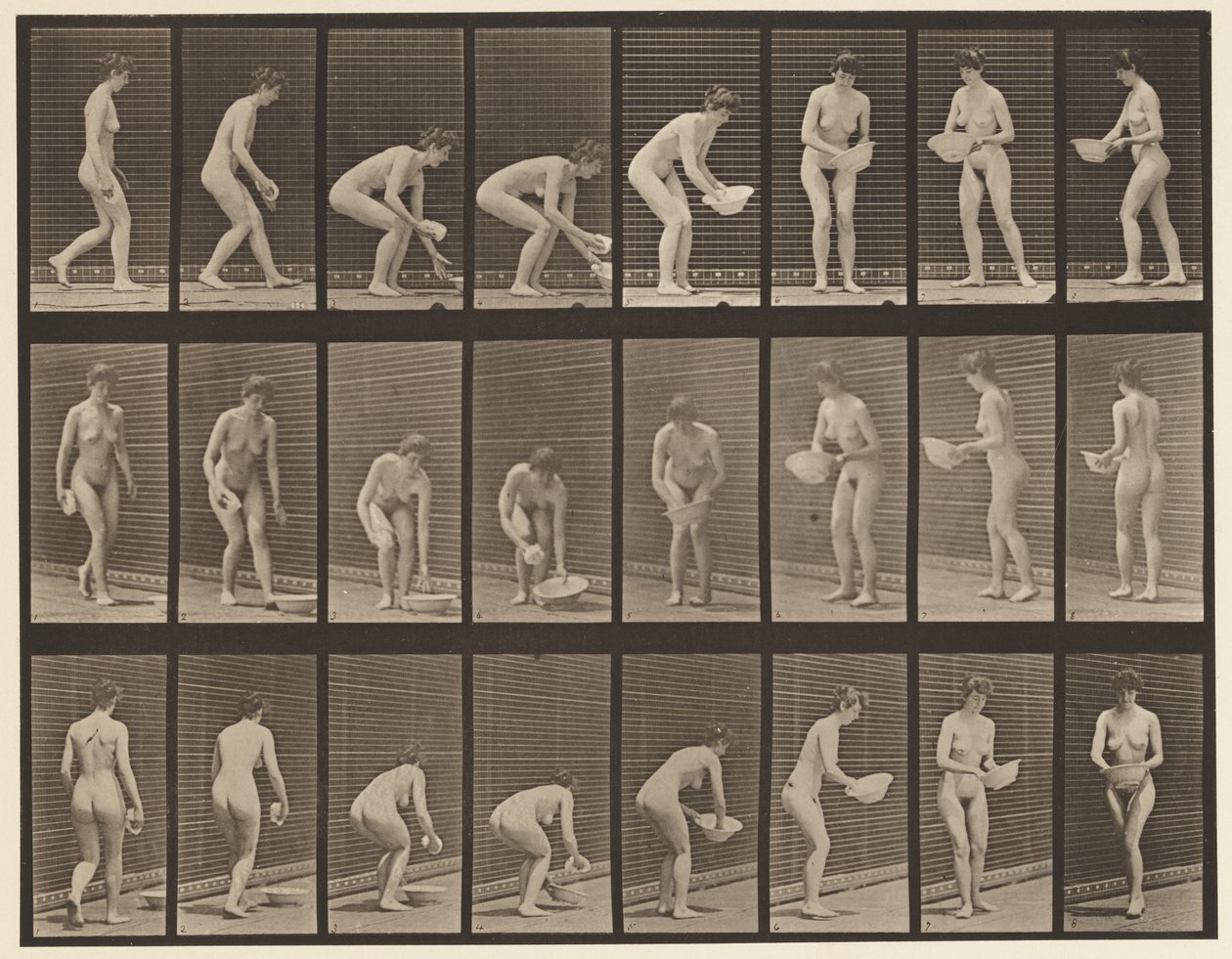 Levha 223. Havzayı Eğip Kaldırmak, Silmek ve Çevirmek, 1872-1885 by Eadweard Muybridge