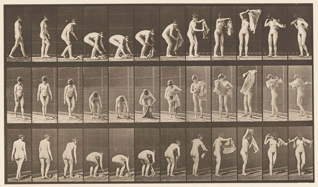 Levha 227. Yerden Kaldırma Bezi, 1872-1885 by Eadweard Muybridge