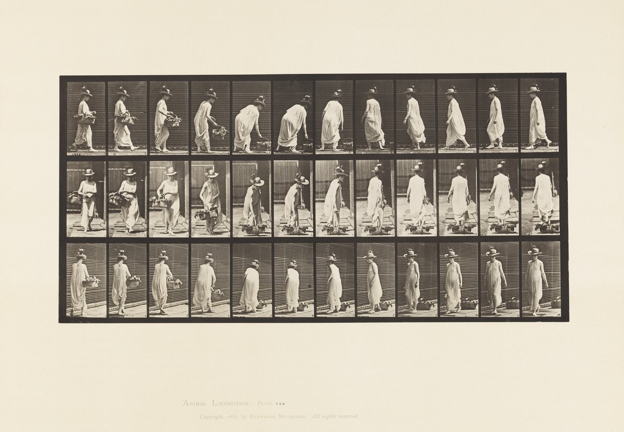 Plaka 229. Sepeti Yere Yerleştirme ve Çevirme by Eadweard Muybridge