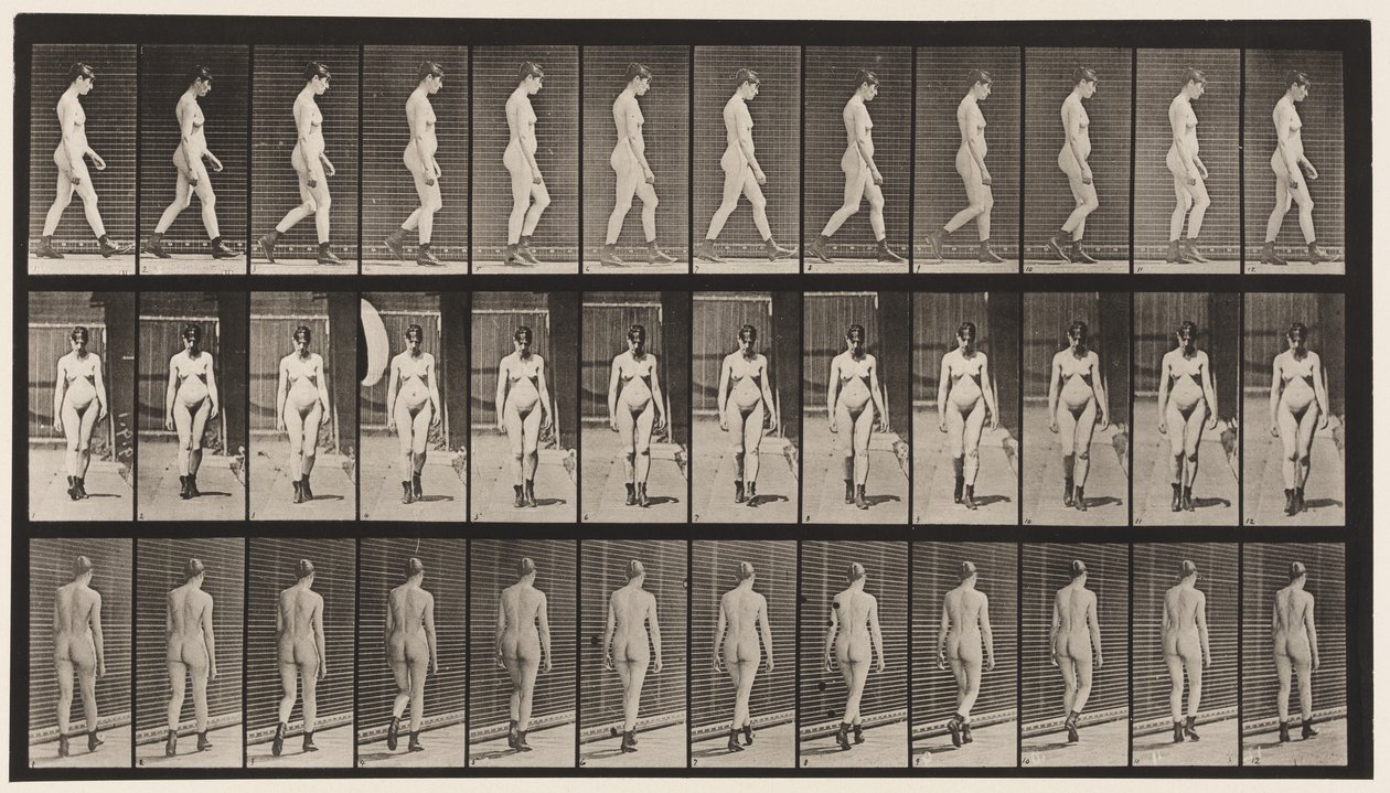 Plaka 22. Yürüyüş, Yüksek Topuklu Çizmelerle Yürüyüş, 1872-1885 by Eadweard Muybridge