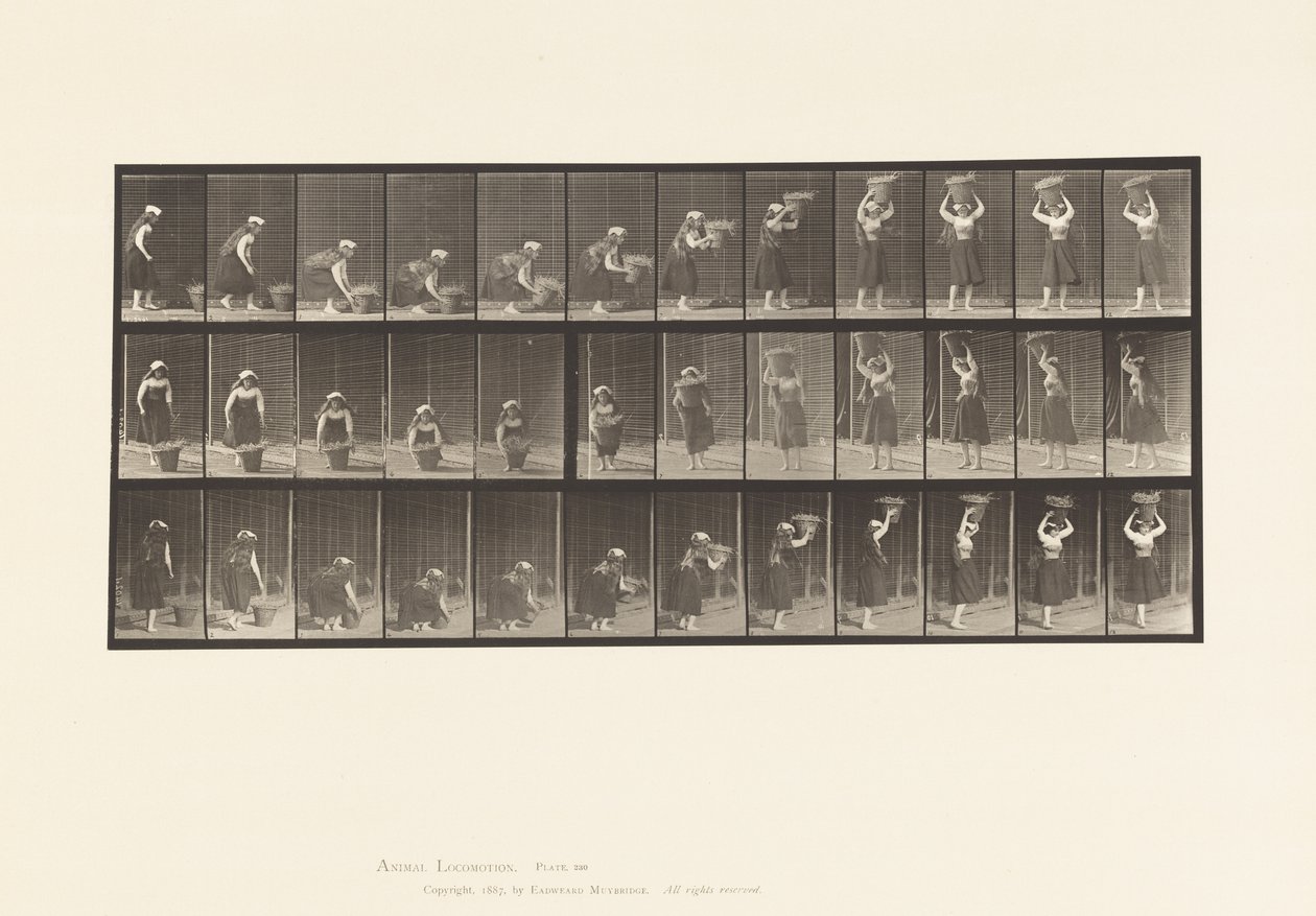 Plaka 230. 30 lb Sepeti Yerden Başa Kaldırma, Döndürme, 1885 by Eadweard Muybridge