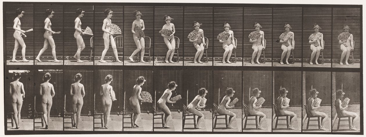 Plaka 237. Sandalyeye Oturan ve Açılan Vantilatör, 1872-1885 by Eadweard Muybridge
