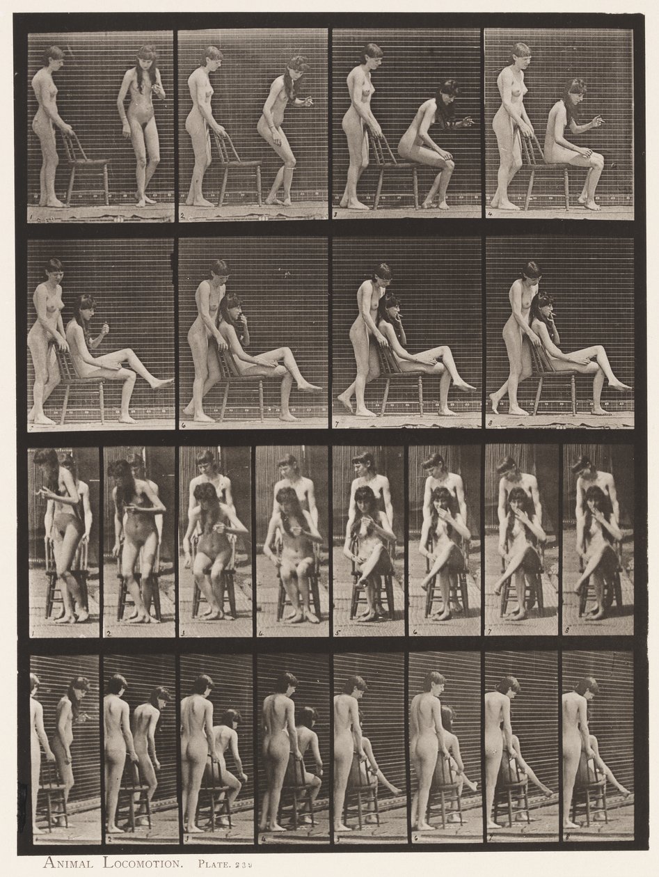 Plaka 239. Biri Ayakta, Diğeri Oturan, Çapraz Ayaklı İki Model by Eadweard Muybridge