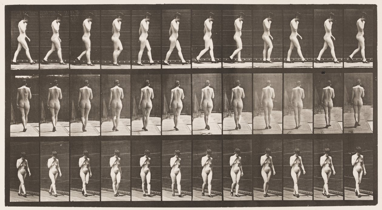 Plaka 23. Yürüyüş, Sağ El Çenede, Yüksek Topuklu Ayakkabı Üstte by Eadweard Muybridge