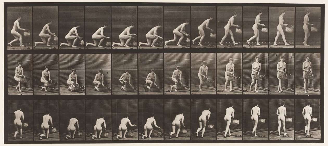 Levha 251. Sol Diz Üzerine Çömelme, Sol El Basket ve Yükselme, 1872-1885 by Eadweard Muybridge