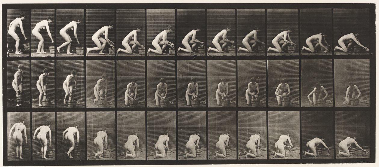 Levha 252. Sağ Diz Üzerine Çömelme ve Yeri Ovma, 1872-1885 by Eadweard Muybridge
