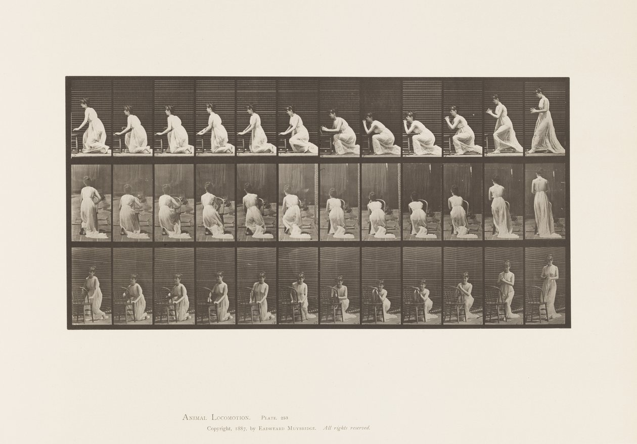 Levha 253. Sandalyede Diz Çöken Dirsekler, Eller Sıkıştırılmış, 1885 by Eadweard Muybridge