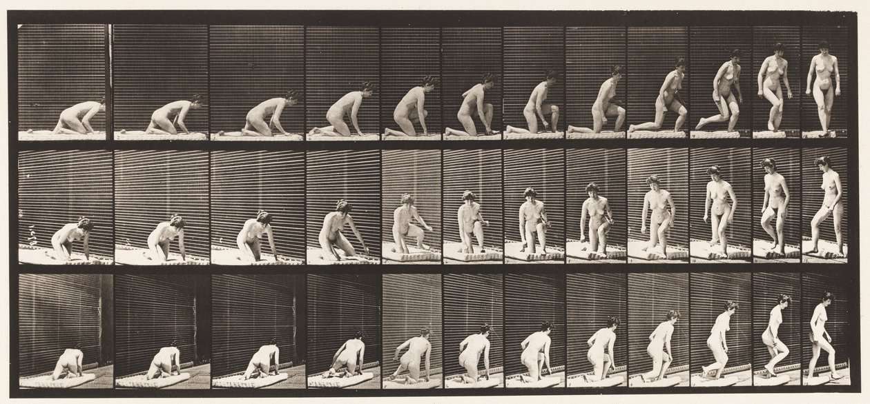 Plaka 255. Diz Çökmek ve Dönmekten Doğan by Eadweard Muybridge