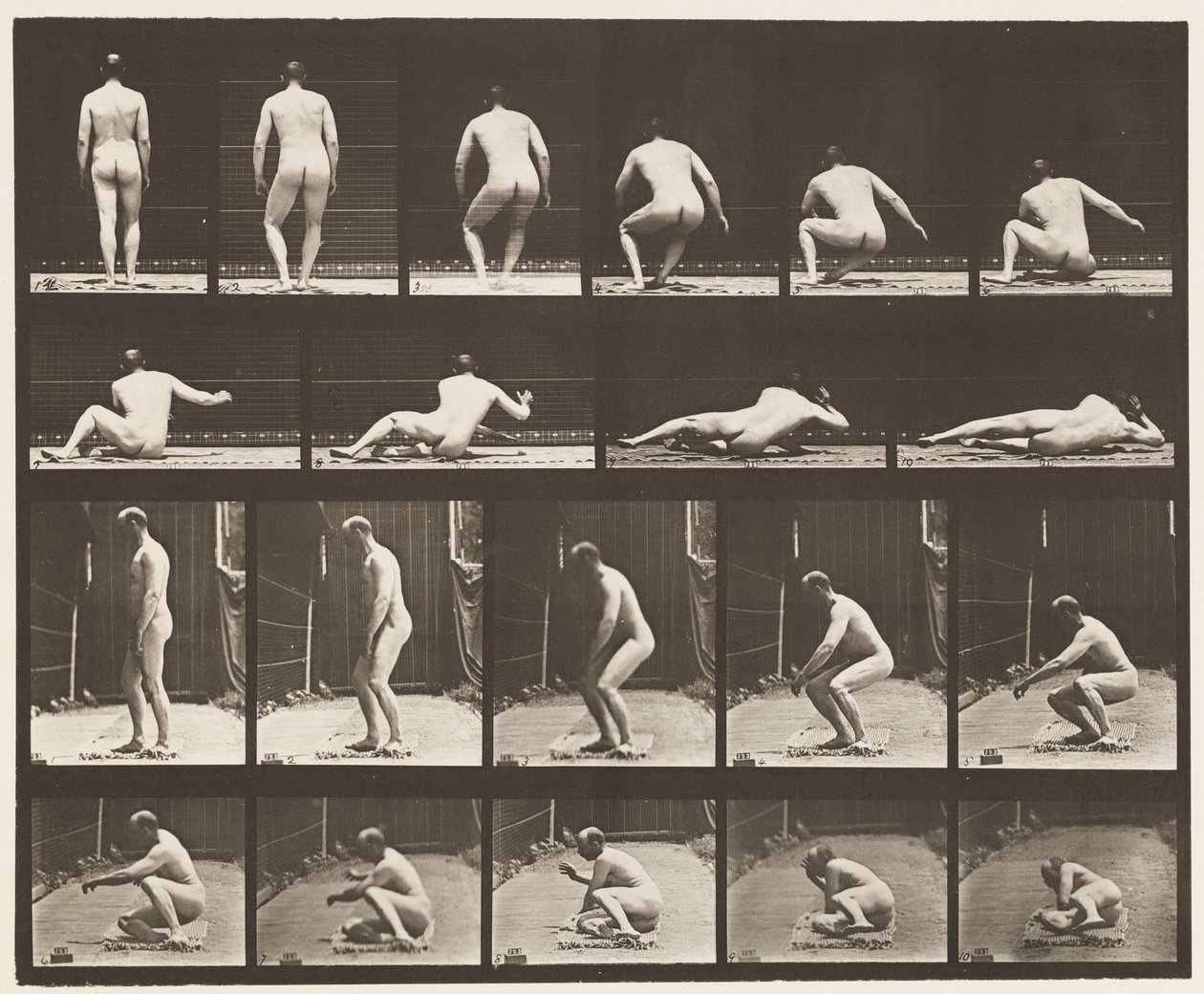 Levha 257. Yerde Yatmak, 1885 by Eadweard Muybridge