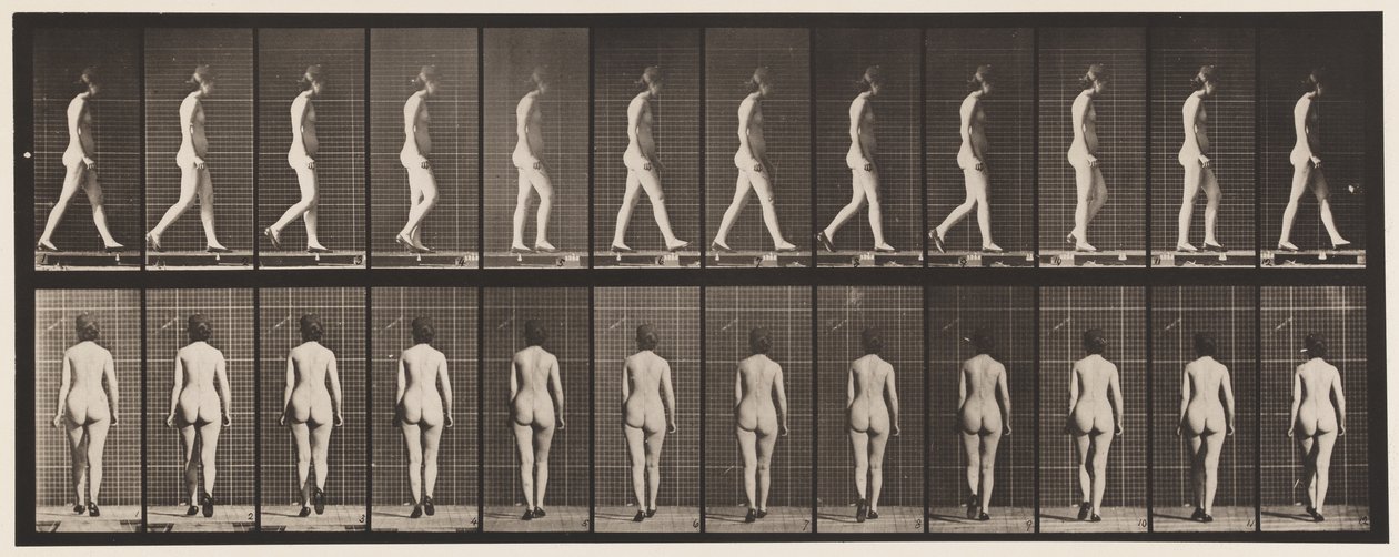 Plaka 25. Yüksek Topuklu Ayakkabılarla Yürüyüş by Eadweard Muybridge