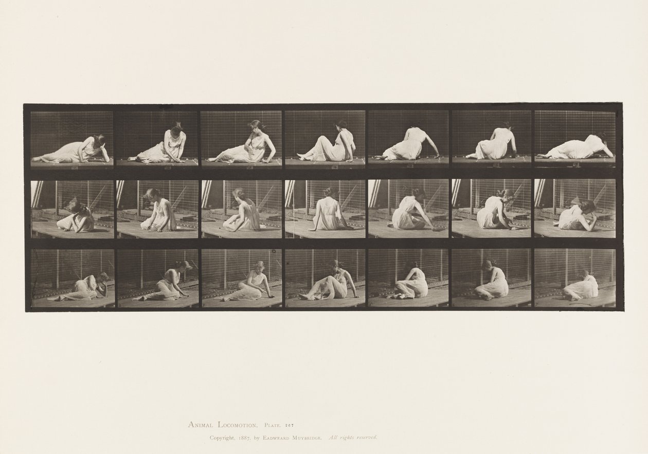 Plaka 267.Yerde Dönme ve Konum Değiştirme, 1885 by Eadweard Muybridge