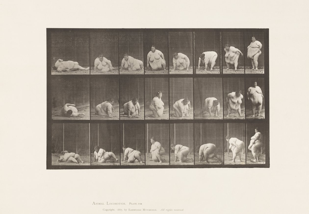 Plaka 268.Yerden Doğan, 1885 by Eadweard Muybridge