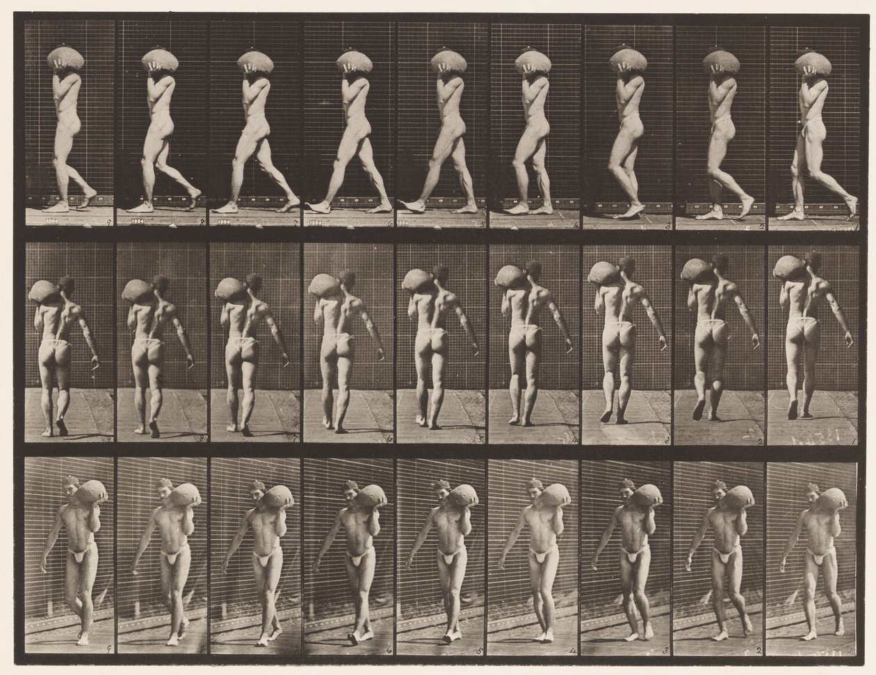 Levha 26. Yürüyüş, Sol Omuzda 75 librelik Taş Taşıma by Eadweard Muybridge
