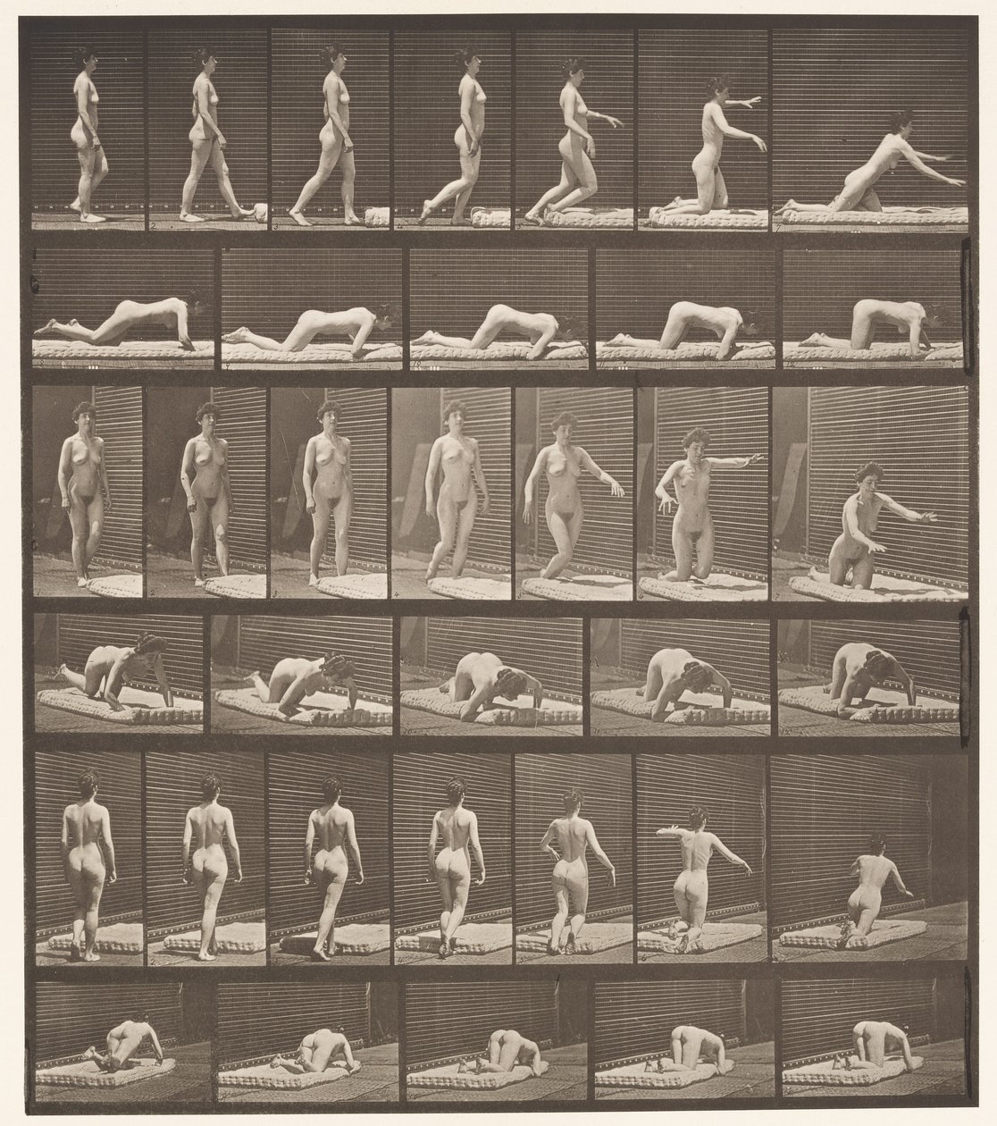 Plaka 272. Tökezleme ve Yere Düşme by Eadweard Muybridge
