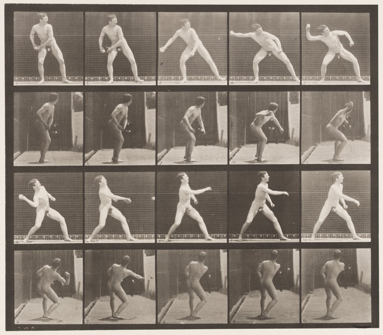 Plaka 273. Beyzbol topu; yunuslama by Eadweard Muybridge