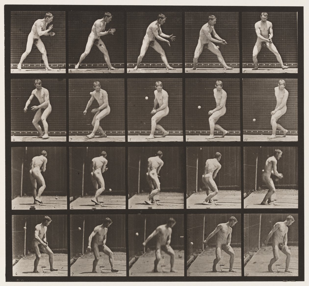 Plaka 288. Beyzbol topu; Hata by Eadweard Muybridge