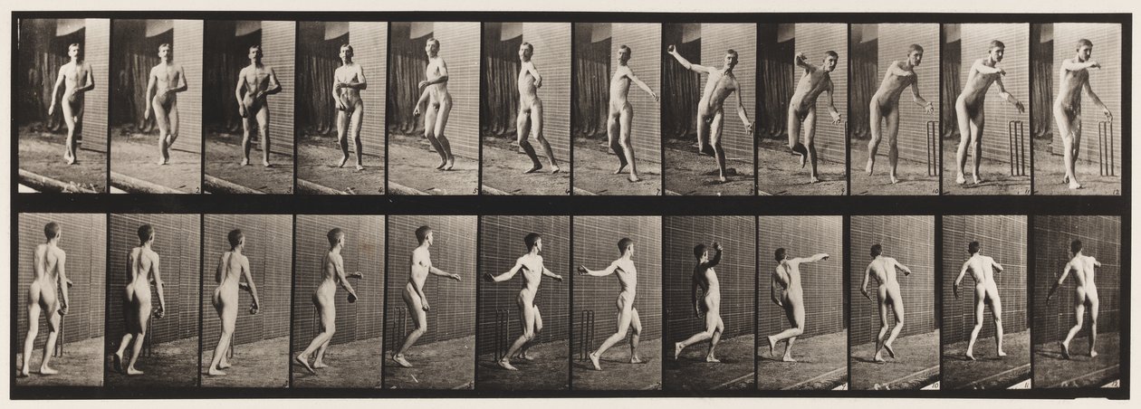 Plaka 289.Kriket; Yuvarlak Kol Bowlingi, 1885 by Eadweard Muybridge