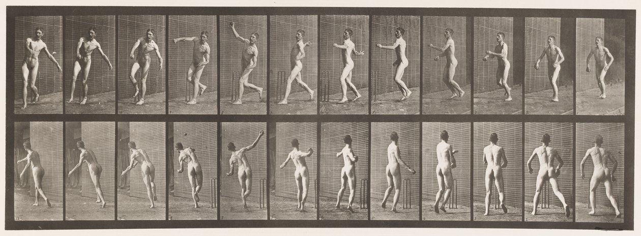 Plaka 290.Kriket; Kol Üstü Bowlingi, 1885 by Eadweard Muybridge