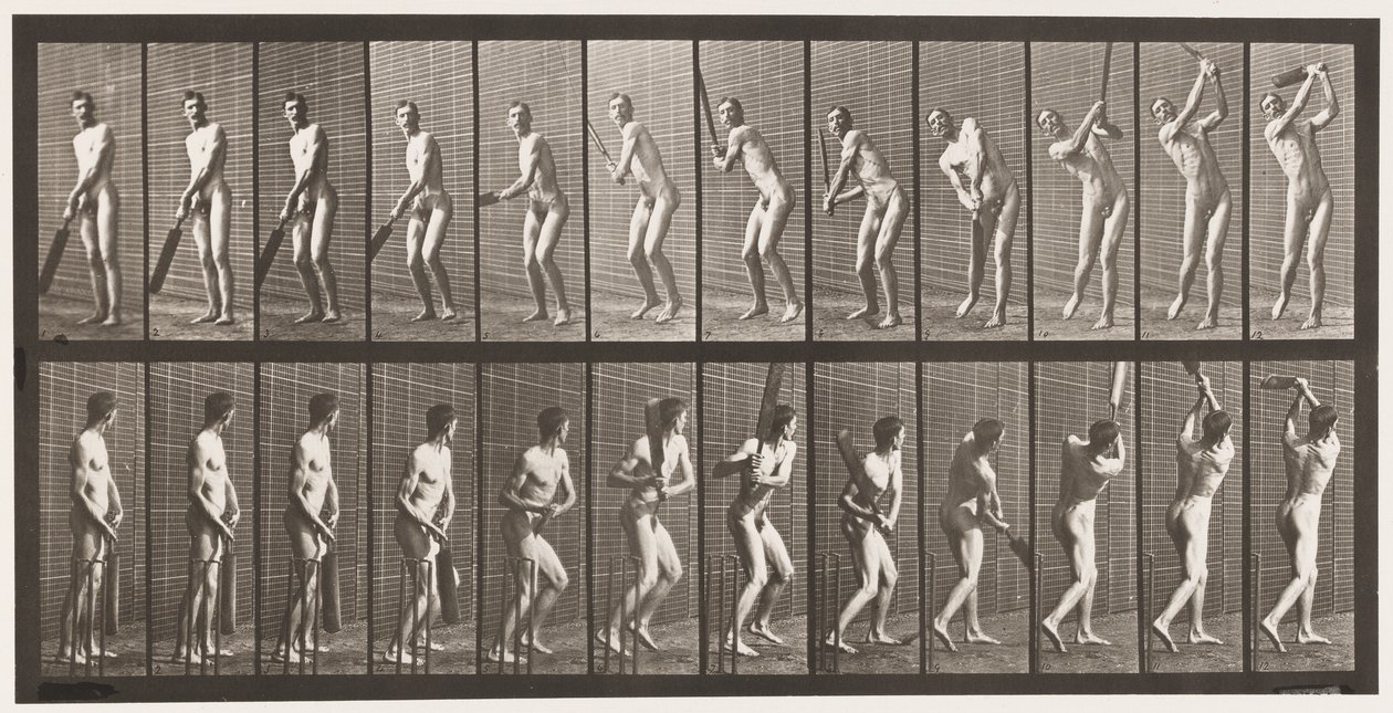 Plaka 291.Kriket; vuruş; Sürücü, 1885 by Eadweard Muybridge