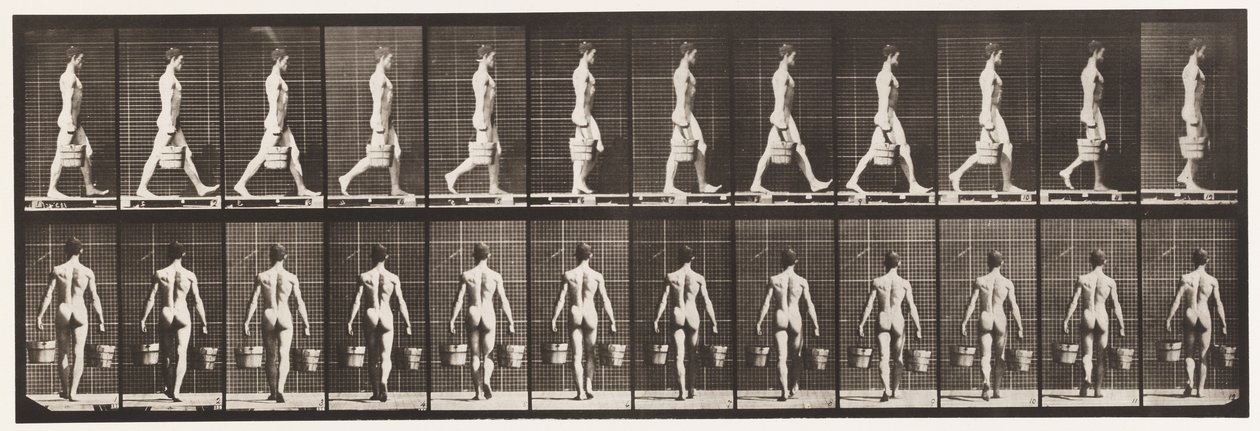 Levha 29. Yürüyüş, Her Elinde Kova Su Taşıma, 1872-1885 by Eadweard Muybridge
