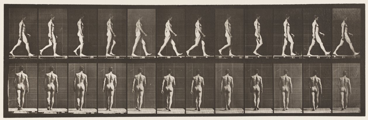 Plaka 2. Yürüyüş, 1872-1885 by Eadweard Muybridge