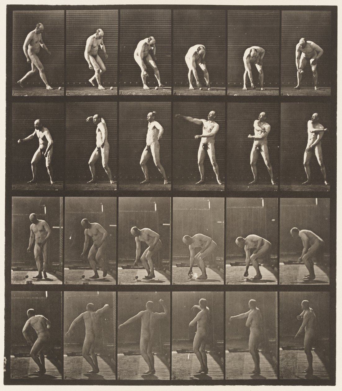 Plaka 302. Topu Alıp Fırlatma, 1885 by Eadweard Muybridge