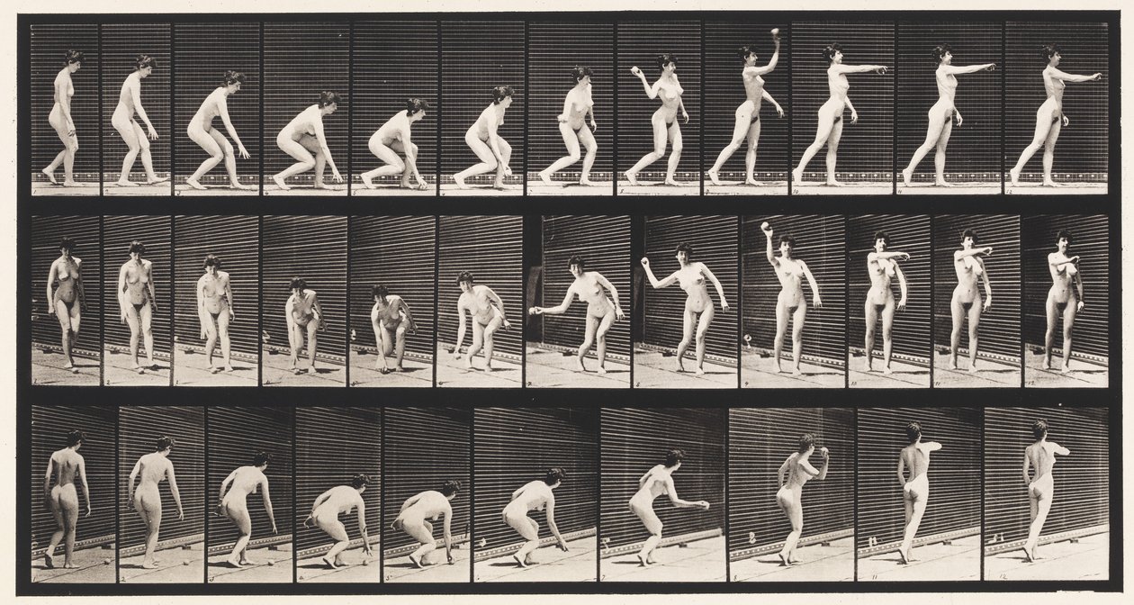 Levha 303. Topu Alıp Fırlatma, 1872-1885 by Eadweard Muybridge