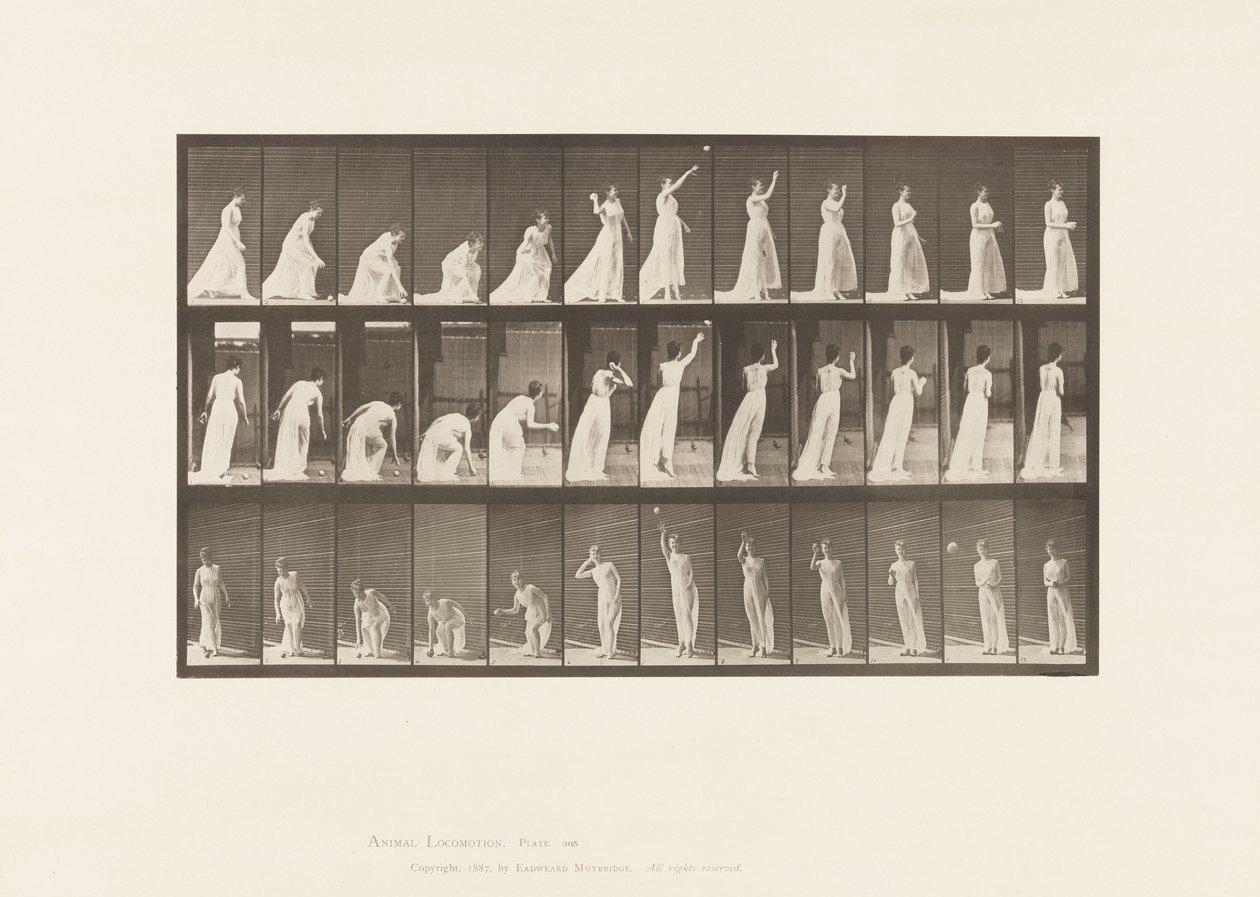 Plaka 305. Top Alıp Fırlatma, 1885 by Eadweard Muybridge