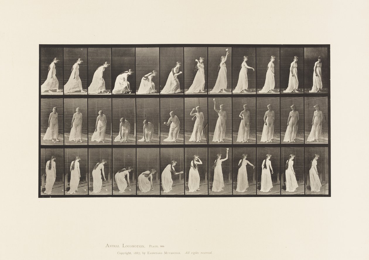 Plaka 306. Topu Alıp Fırlatma, 1885 by Eadweard Muybridge