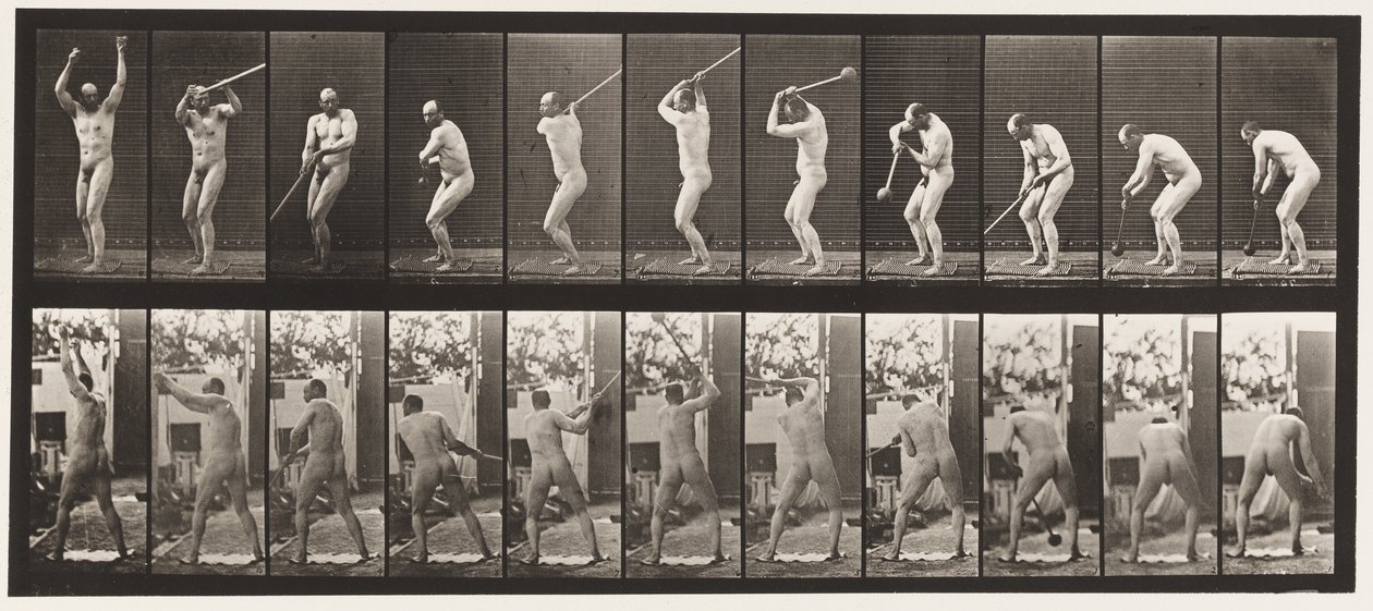 Plaka 308. Çekiç Fırlatma, 1885 by Eadweard Muybridge