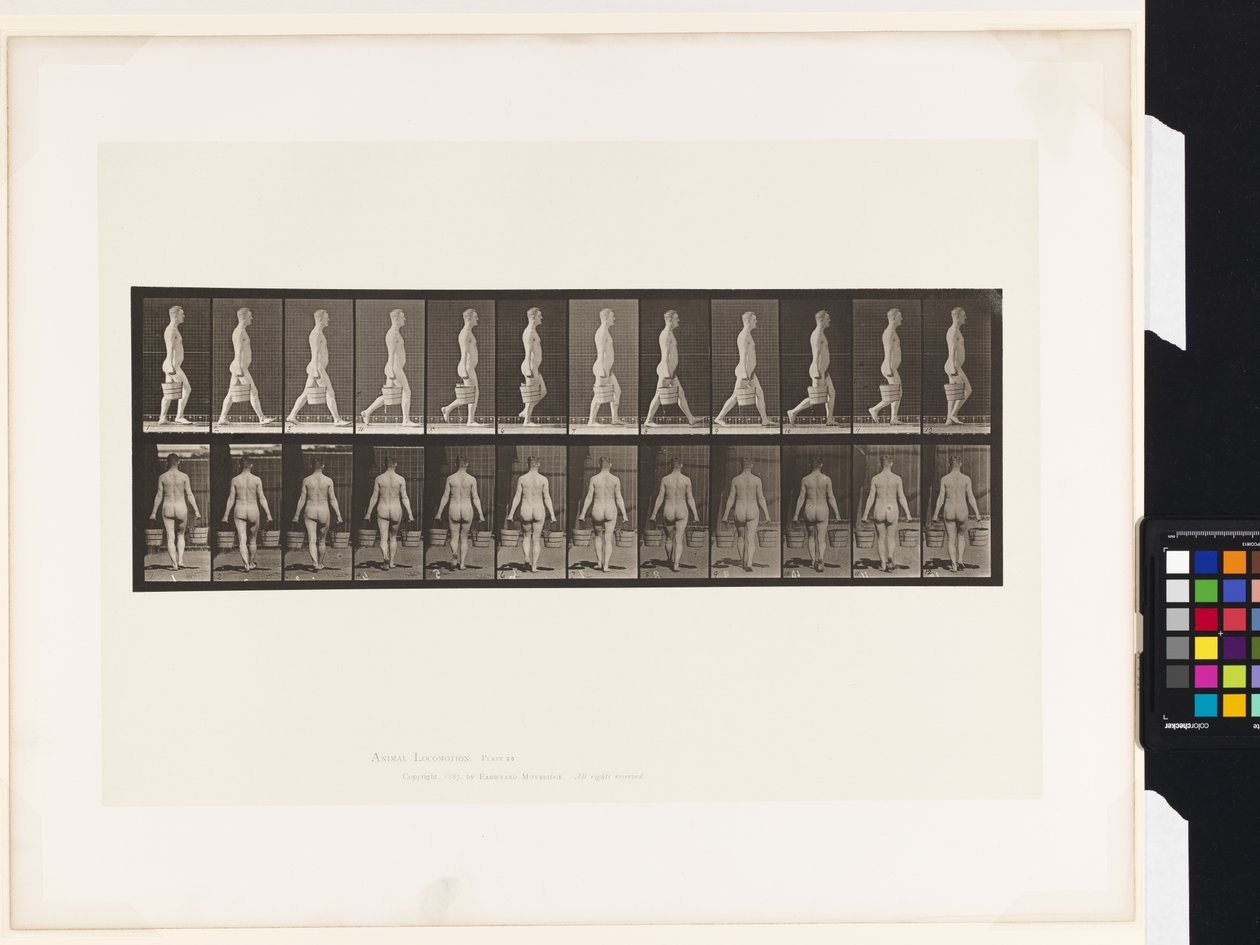 Tabak 30. Yürümek, Her Elinde Kova Su Taşımak by Eadweard Muybridge