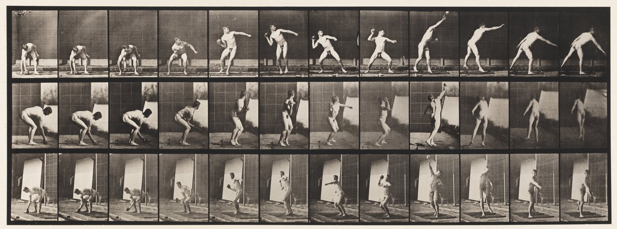 Plaka 310. Atış, 1885 by Eadweard Muybridge