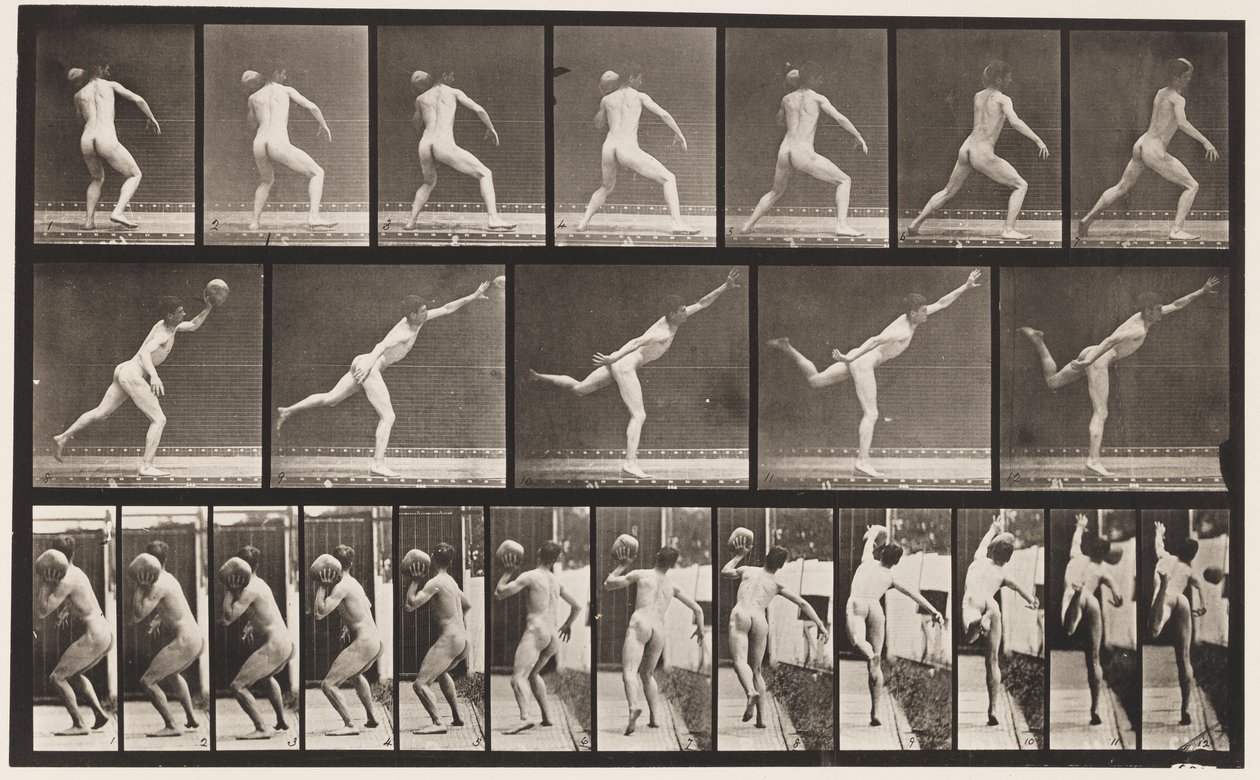 Plaka 316. 20 librelik Kayayı Kaldırma, 1885 by Eadweard Muybridge