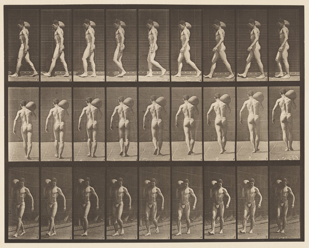 Levha 31. Yürüyüş, Sağ Omuzda 75 librelik Taş Taşıma by Eadweard Muybridge