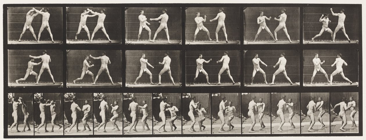 Plaka 329. Boks; (Ayakkabı) by Eadweard Muybridge
