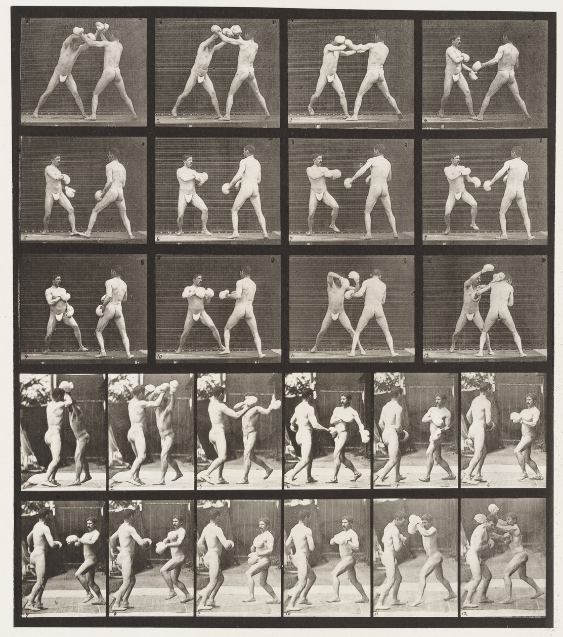 Plaka 334. Boks; Eldivenli (Ayakkabı) by Eadweard Muybridge