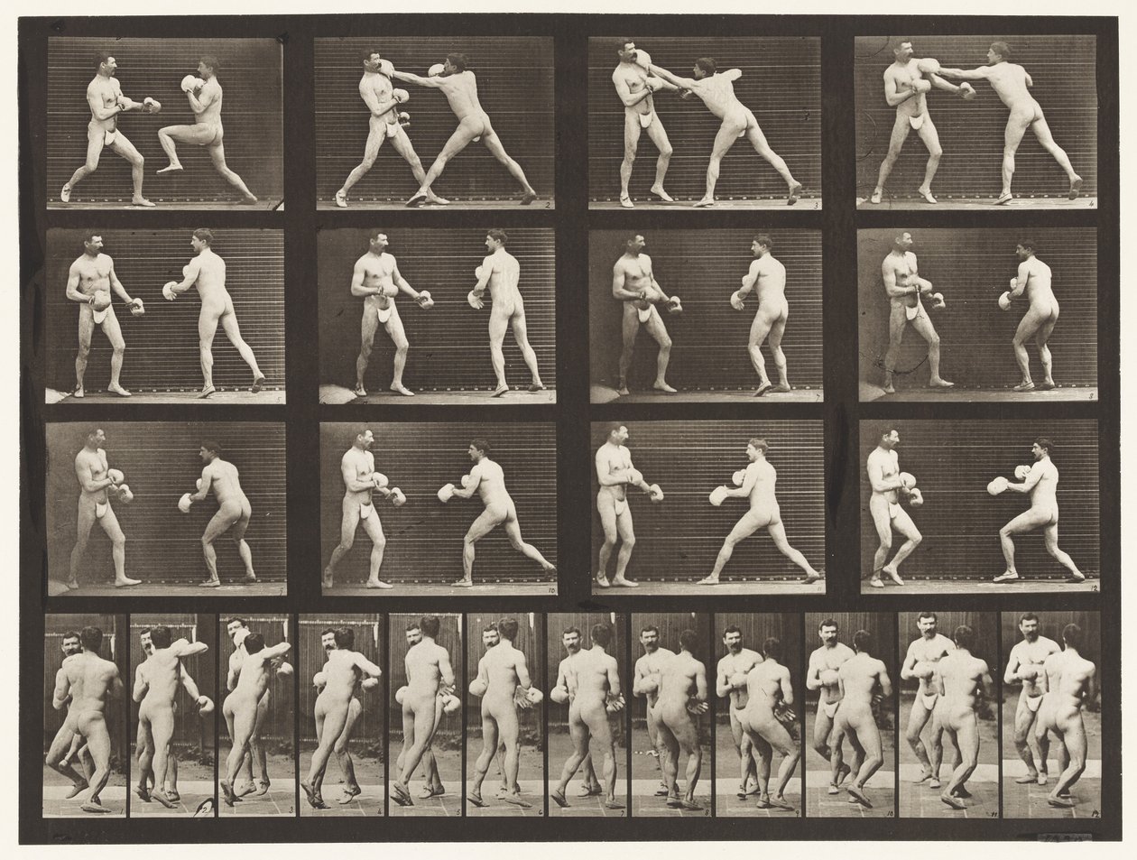 Plaka 335. Boks; Eldivenli by Eadweard Muybridge