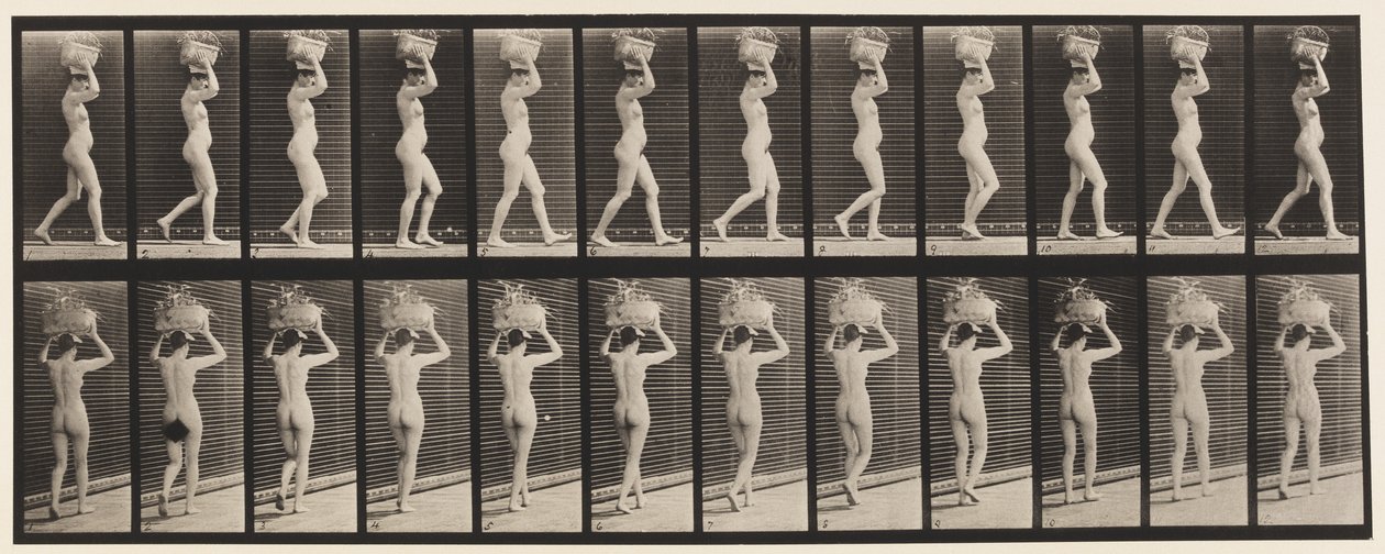 Plaka 33. Yürüyüş, 14-lb. Baştaki Sepet, Eller Kaldırılmış, 1872-1885 by Eadweard Muybridge