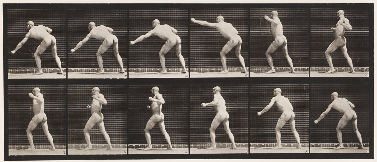 Plaka 343. Darbe Vurma (Sol El) by Eadweard Muybridge