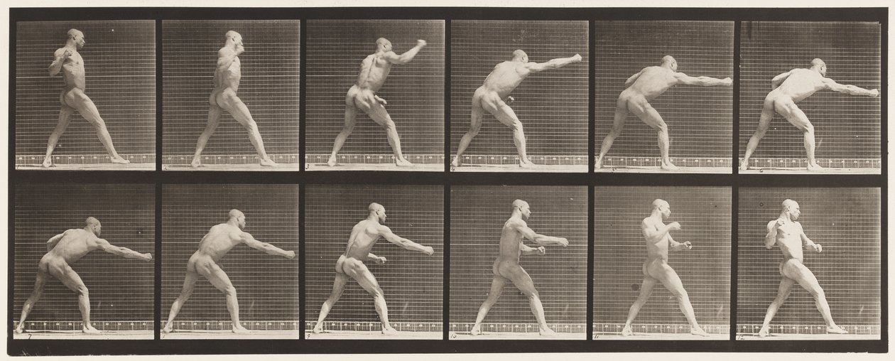 Plaka 344. Vuruş (Sağ El) by Eadweard Muybridge