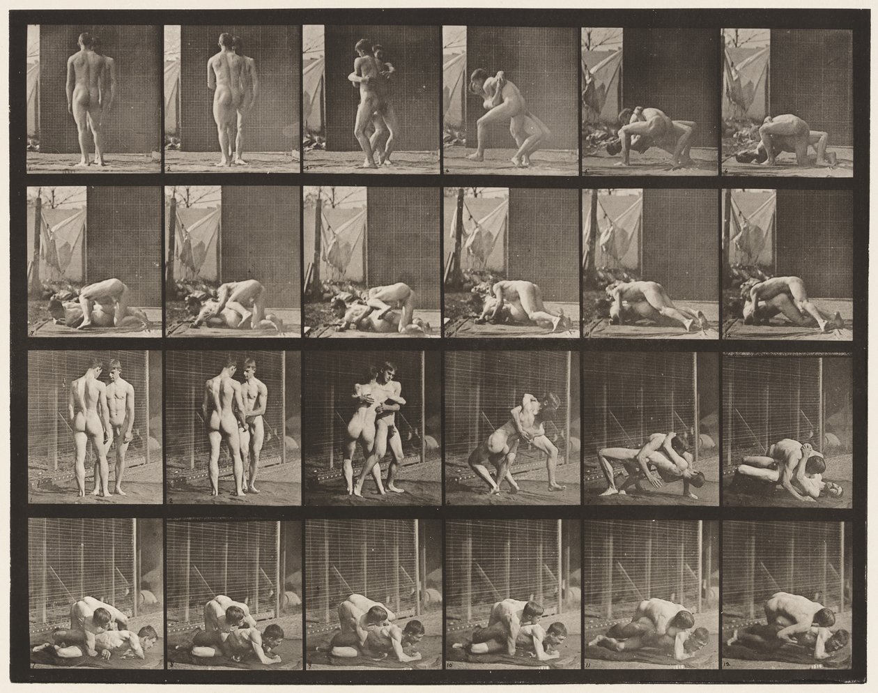 Plaka 346. Güreş, Kilit by Eadweard Muybridge