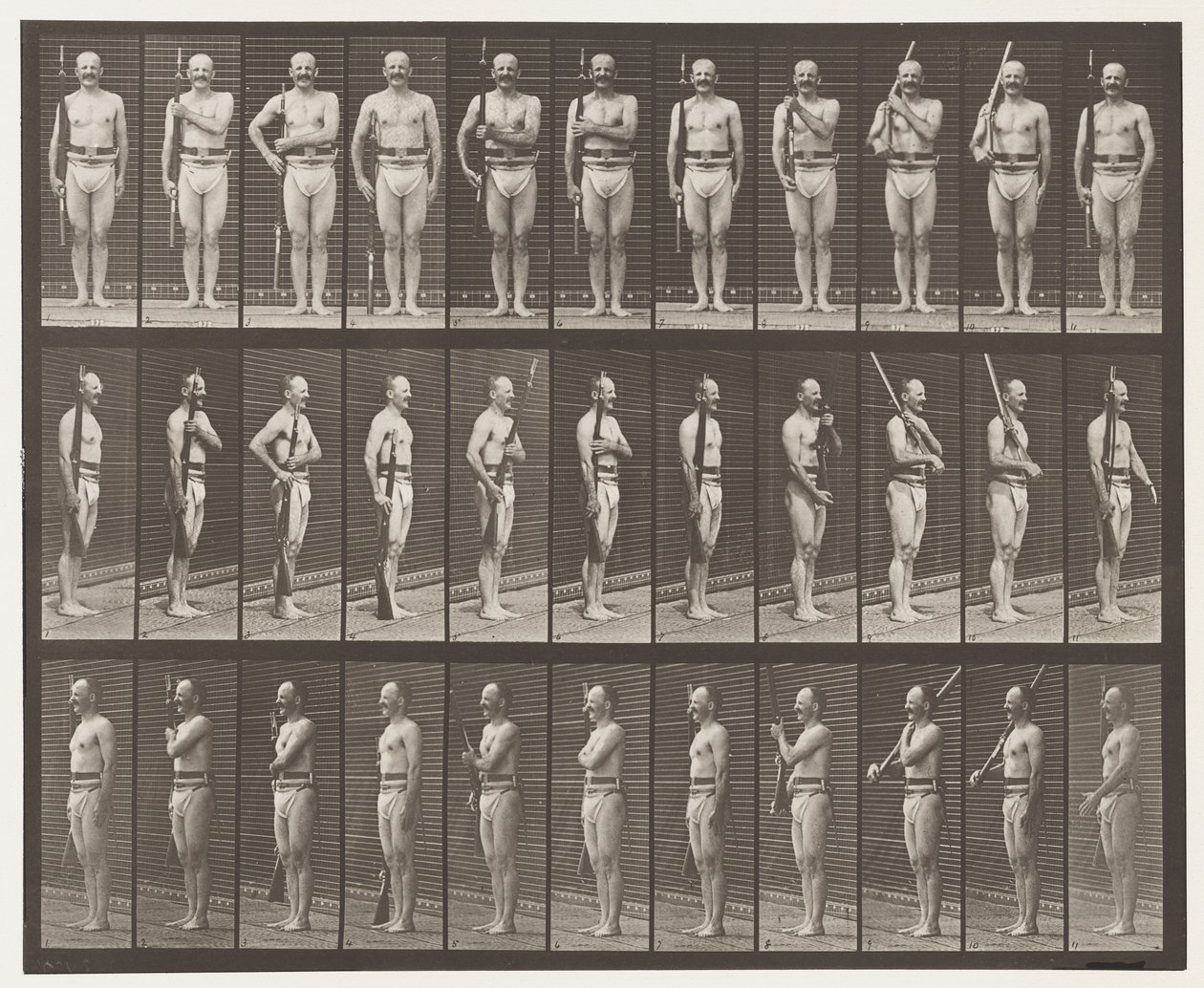 Levha 352. Omuz, Düzen ve Taşıma Kolları by Eadweard Muybridge