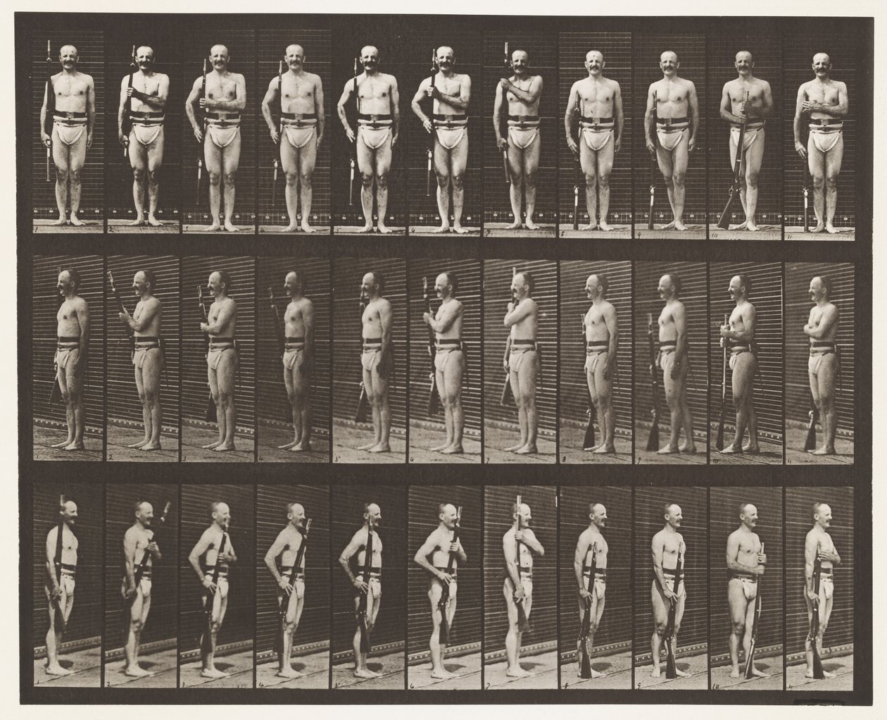 Plaka 354. Taşıma Kolları, Geçit Töreni ve Arka Kollar by Eadweard Muybridge