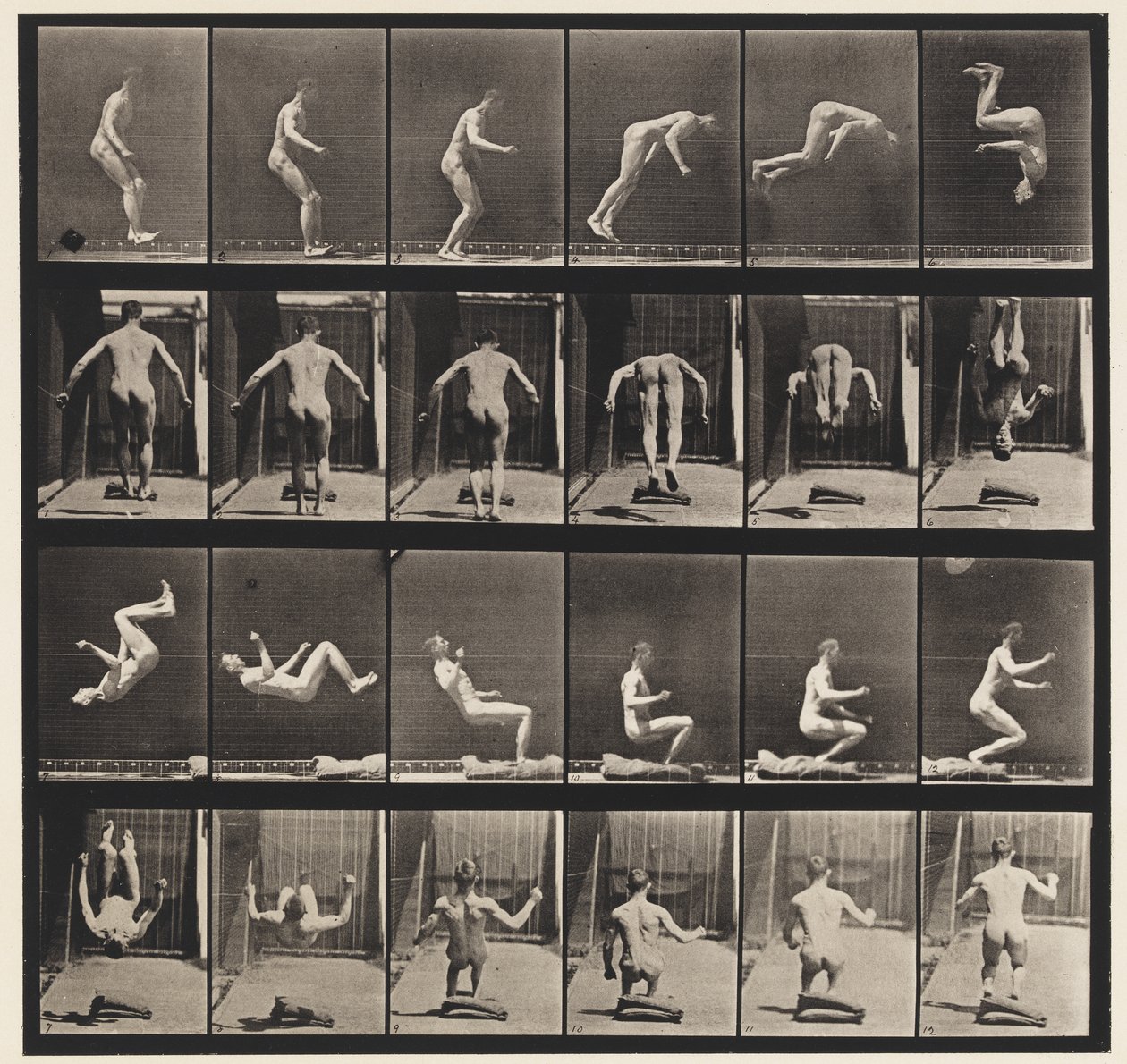 Plaka 363. Koşan Takla, 1885 by Eadweard Muybridge