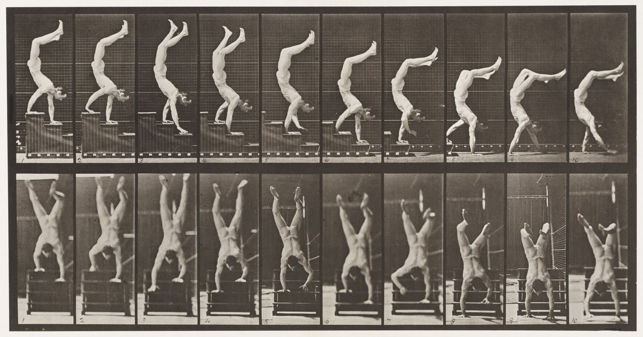 Plaka 368. Akrobat, Ellerde İnen Merdivenler by Eadweard Muybridge