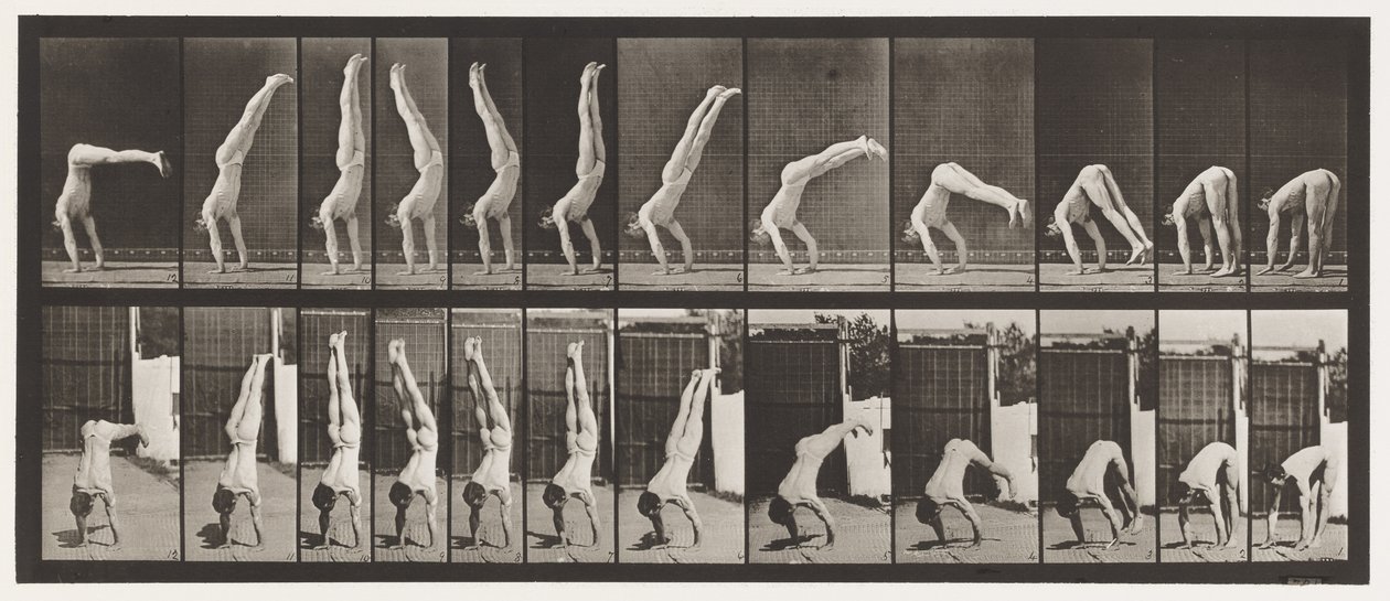 Plaka 371. Acrobat, Dikey Basma by Eadweard Muybridge