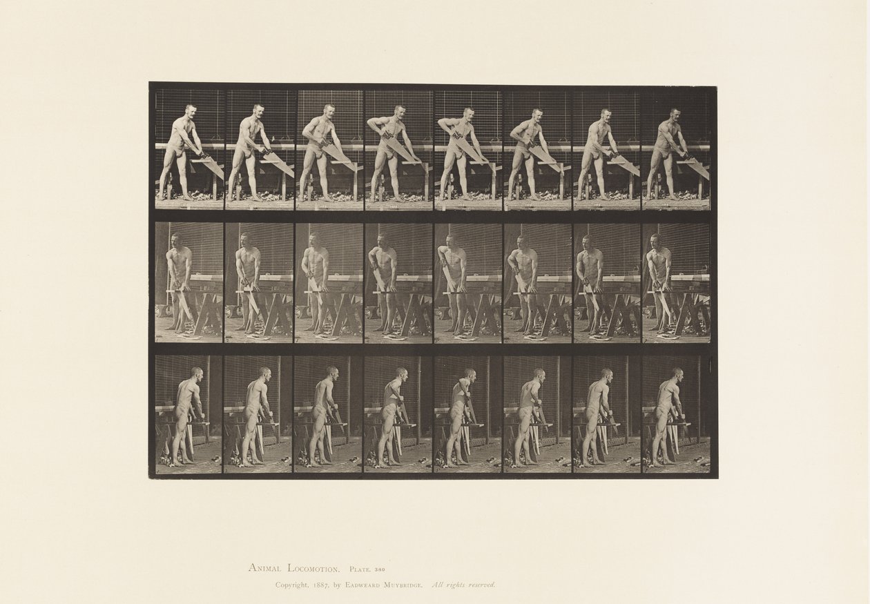 Plaka 380. Marangoz, Testere, 1872-1885 by Eadweard Muybridge