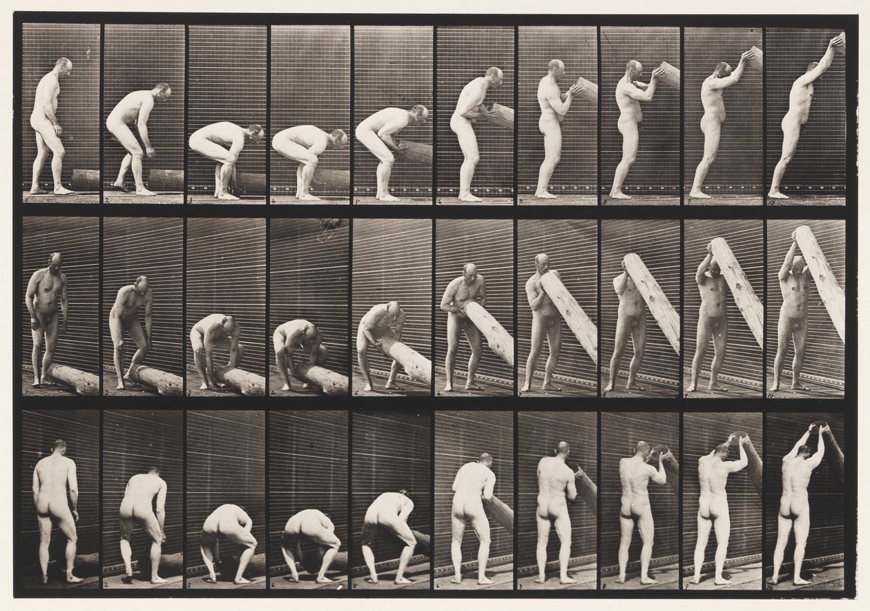 Plaka 382. Uçtan Bir Kütüğü Kaldırma, 1872-1885 by Eadweard Muybridge
