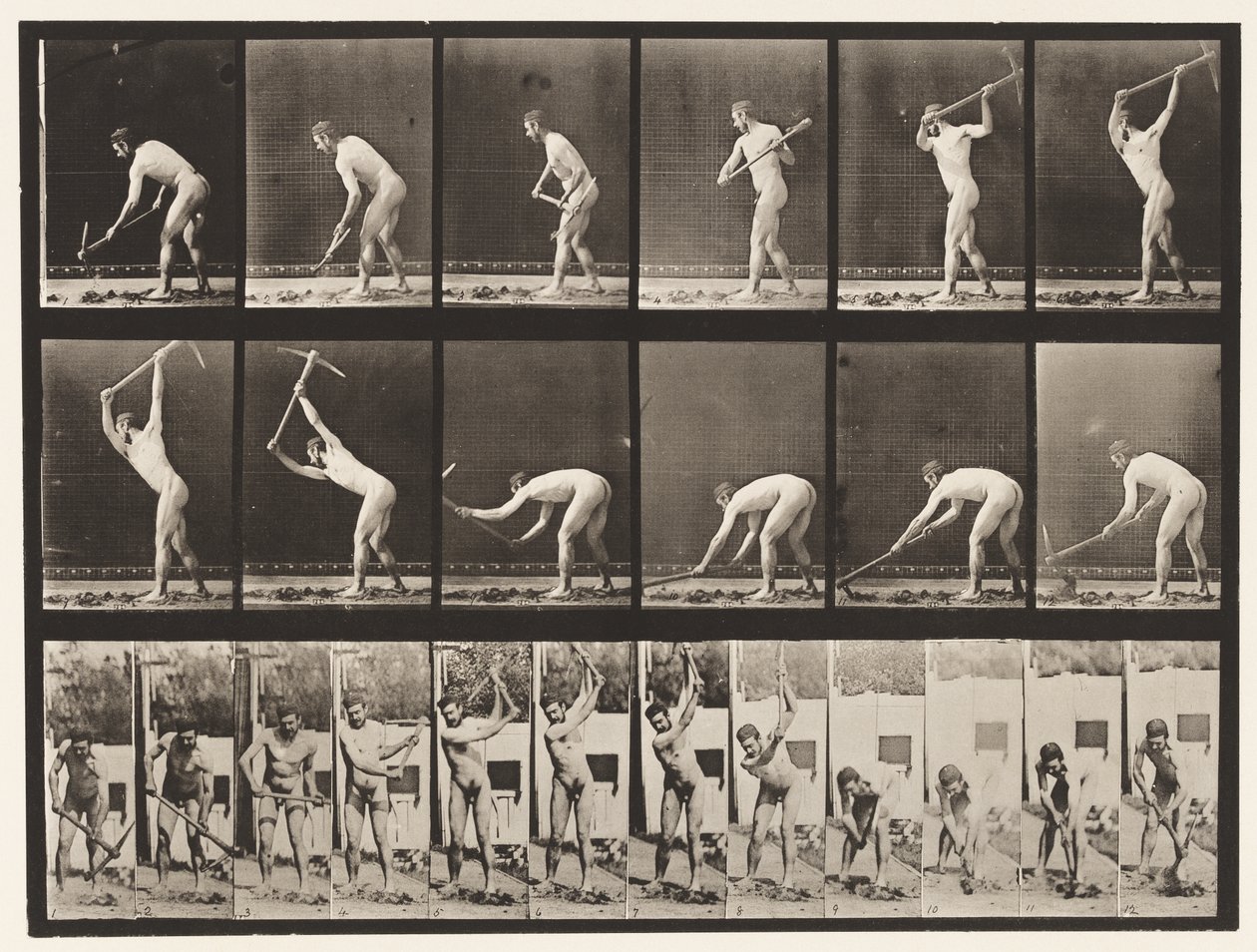 Levha 385. Çiftçi, Kazma Kullanarak, 1872-1885 by Eadweard Muybridge