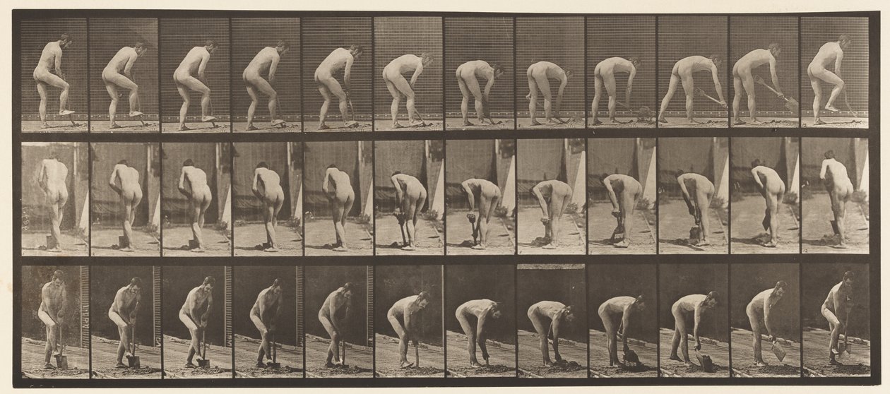 Levha 388. Kürek Kullanan Çiftçi, 1872-1885 by Eadweard Muybridge